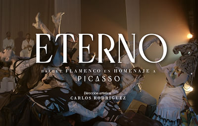 Eterno Picasso - Produzione Video