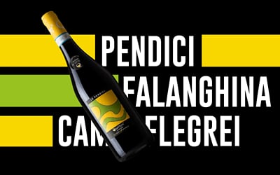 Cantina vinicola: etichette, packaging, social e sito - Branding & Positioning