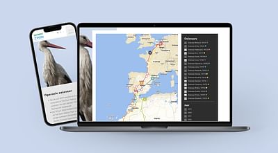 Zwin - Digital Strategy