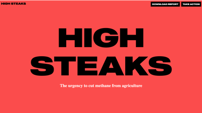 High Steaks - Campaign Website - Création de site internet