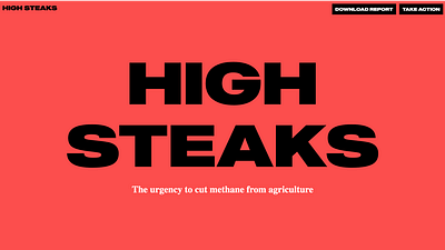 High Steaks - Campaign Website - Design & graphisme