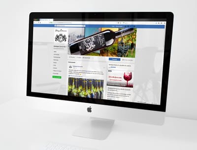 Marketing Digital para Bodegas Estraunza - Redes Sociales