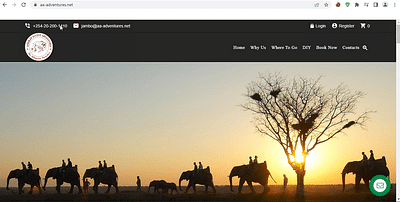 Tours and Travel Website Design - Creación de Sitios Web