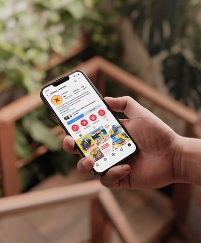 Xanascat: Estrategia digital y web - Website Creation