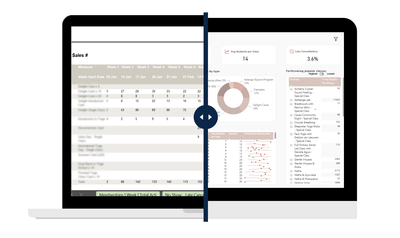 Transforming Sports via Data Analytics - Web analytics / Big data