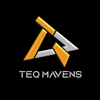 TeQ Mavens Private Limited