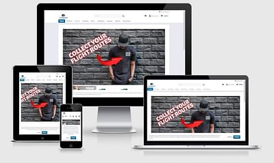 Onlineshop für US-Flights - E-Commerce
