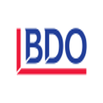 BDO South Africa Incorporated logo