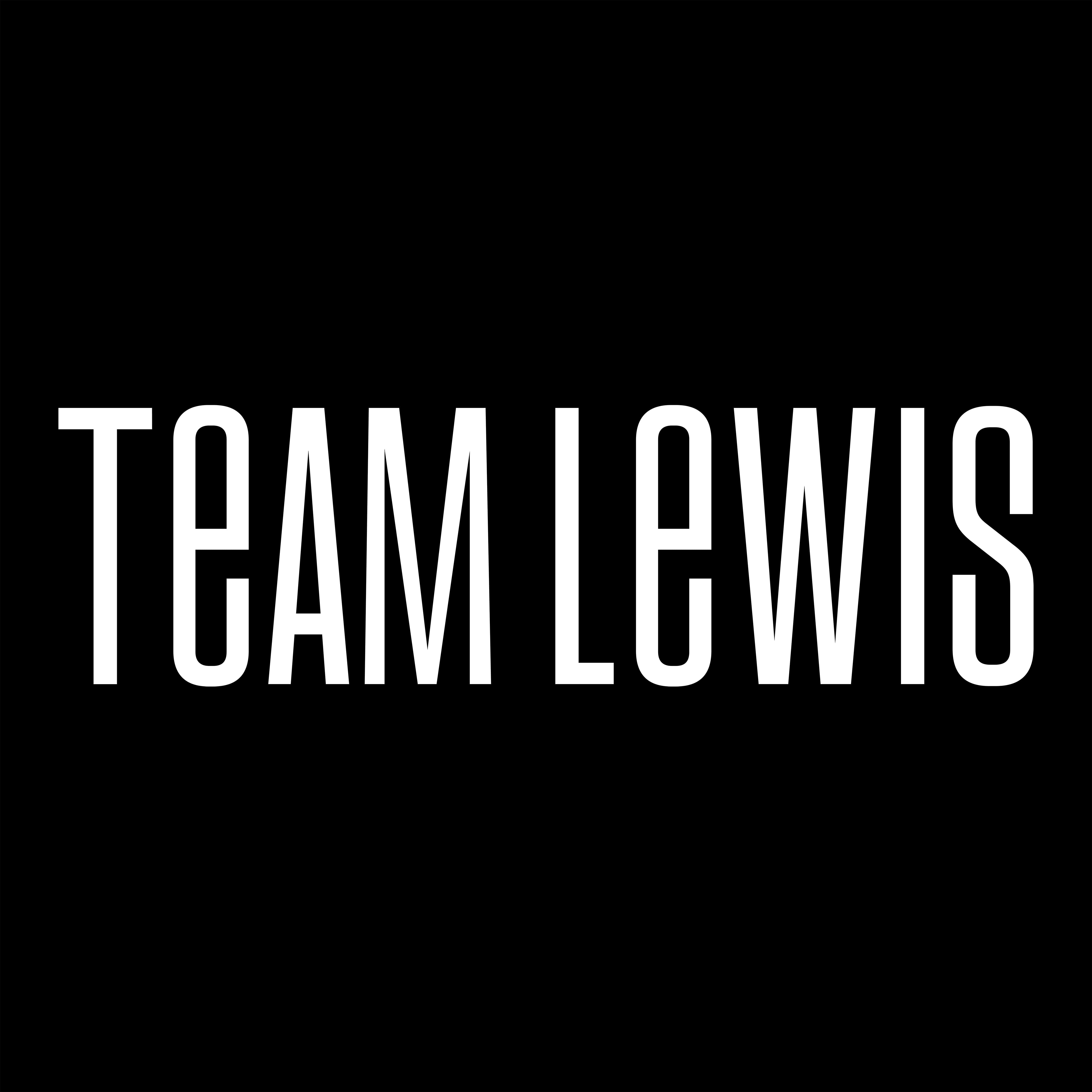 TEAM LEWIS ITALIA