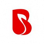 BrainMobi logo