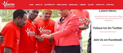 Website design for youth enterprise fund - Webseitengestaltung