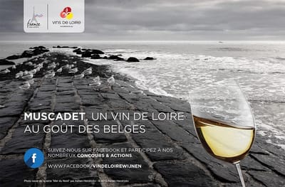 Print Campaign - Online Advertising