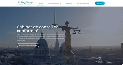 RegSharp - Création de site web - Ergonomy (UX/UI)