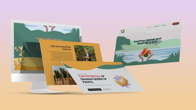 Cashew Farm Webentwicklung - Webseitengestaltung