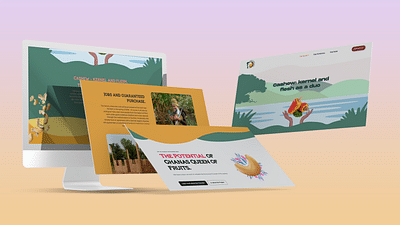 Cashew Farm Webentwicklung - Grafikdesign