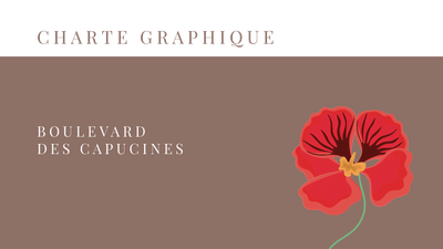 Boulevard Des Capucines - Photography