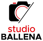 Studio Ballena logo