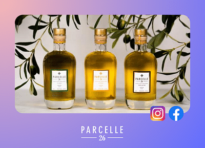 Social Ads - Parcelle 26 - Publicité en ligne
