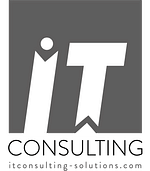 IT Consulting