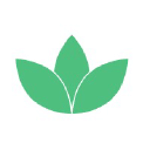 050media logo