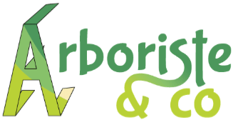 Arboriste & Co - Création de site internet