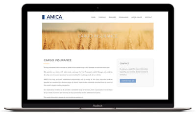 Amica - Website Creation
