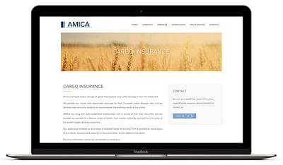 Amica - Website Creatie