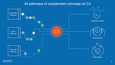 Presentation for investor conference - Graphic Design