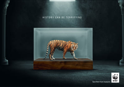 WWF Awareness Campaign - Redes Sociales