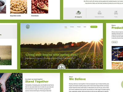 Branding and Website Design for Agriculture Sector - Branding & Positioning