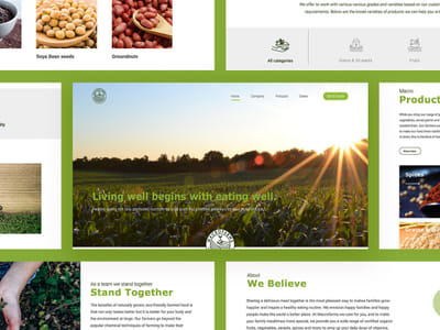 Branding and Website Design for Agriculture Sector - Branding & Positioning