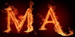 The Media Architects