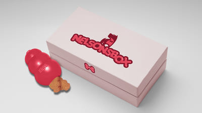 Nelsonsbox - Branding & Positionering