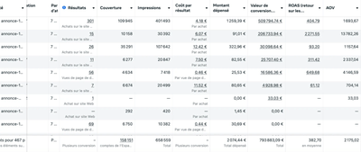 Marque B2B : 793k € générés avec 2 074 € investis - E-commerce