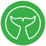 White Whale Solutions logo