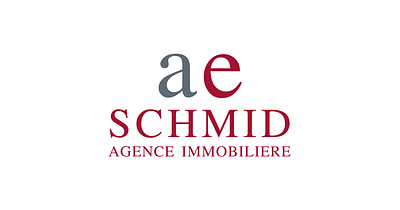 Community management @AE Schmid SA - Image de marque & branding