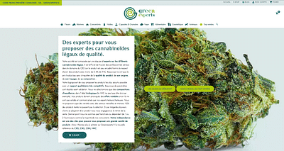 greenexperts.fr | site e-commerce de CBD - Creazione di siti web