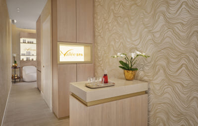 La Vallée SPA - Digitale Strategie