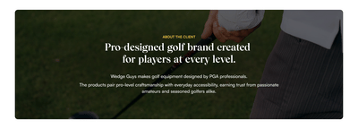 WedgeGuys: hero image and PPC rebuild add $305,771/mo - SEO