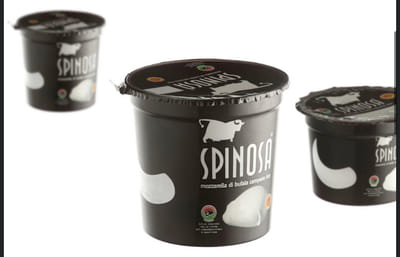 SPINOSA SPA | Progetto Grafico, Packaging e Video - Creazione di siti web