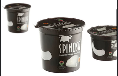 SPINOSA SPA | Progetto Grafico, Packaging e Video - Webseitengestaltung