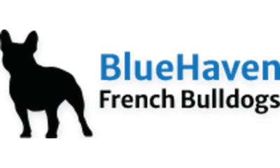 BlueHaven French Bulldogs — SEO, PPC, SMO & Web Development Campaign - SEO