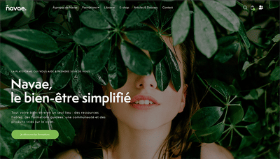Réalisation du site Navae - Création de site internet