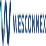 Wesconnex Ltd
