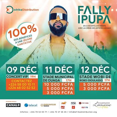Stratégie digitale concert Fally ipupa BF - Social Media