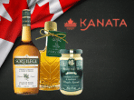 Kanata : Migration Prestashop / SEA / SEO - Ontwerp