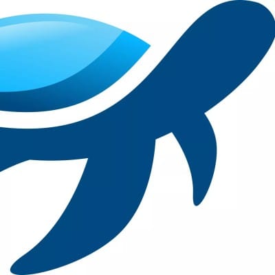 Turtle Marketing