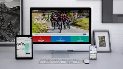 Ecommerce Taddei Store - Stratégie digitale