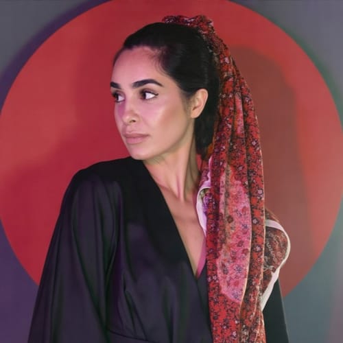 Dash cover