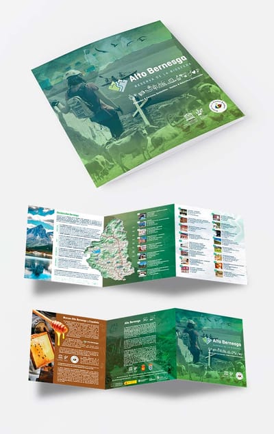 Diseño de triptico, web y redes sociales - Branding y posicionamiento de marca